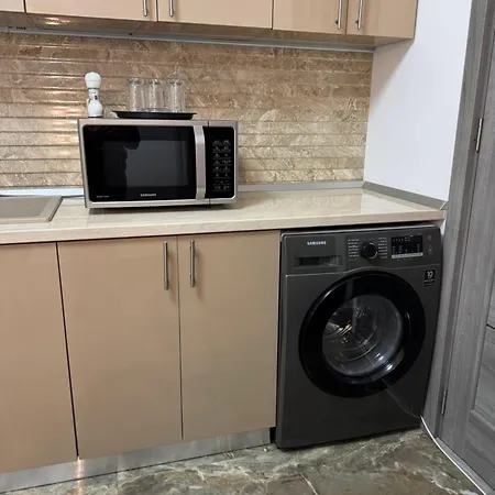 公寓 Luxury Romanescu