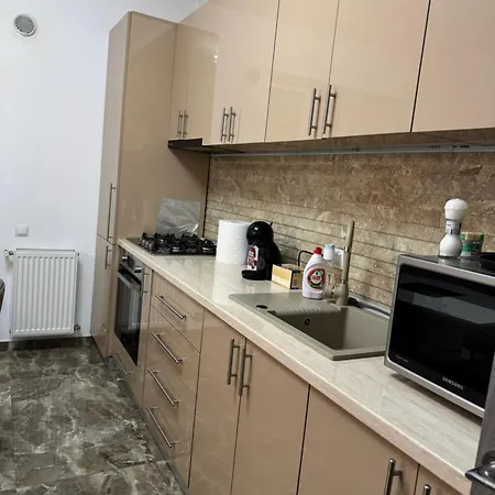 Luxury Romanescu 公寓