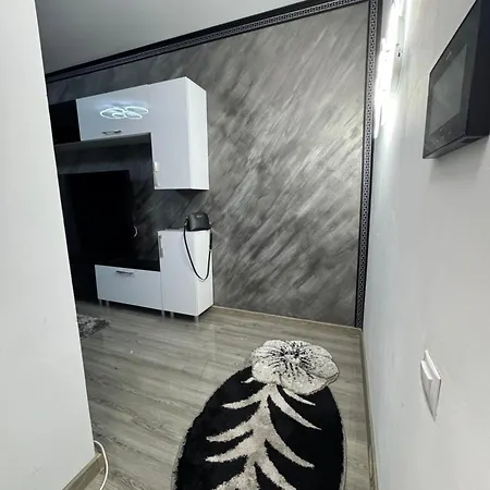 公寓 Luxury Romanescu 克拉奥华